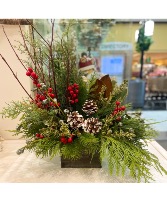 A walk in the woods  Wooden box 