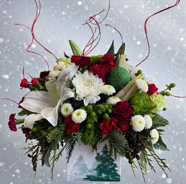 A Winter Wonderland!!  in Clearwater, FL | FLOWERAMA