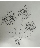 A Year Of Flowers 
