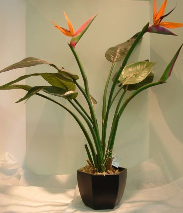 Bird of Paradise Artifical Plant