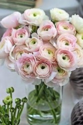 Pretty Ranunculus Vase Bouquet