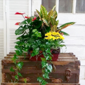 Chic Garden European Garden Basket