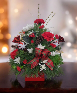 Plaid Winter Thoughts FHF-C0525 Fresh Flower Arrangement  local only