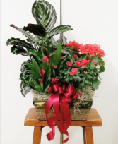 Burgundy Blooming Basket European Garden Basket