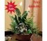 Purchase this funeral home arrangement