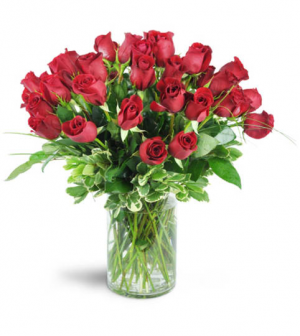 Abundance of Love 24 Red Roses Rose