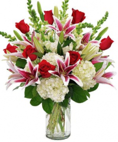 Category Image