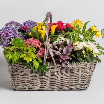 Abundant Basket Next Day Delivery