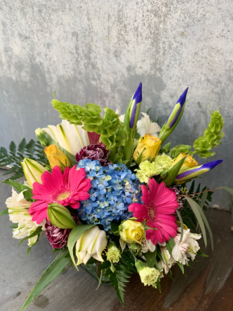 Abundant Blooms Low and Lush