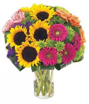 Abundant Impressions Best Seller! in Arlington, TX | Erinn's Creations Florist Abundant Impressions Best Seller! in Arlington, TX | Erinn's Creations Florist