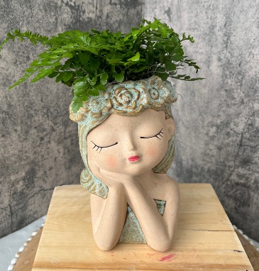 Adasia Goddess Gorgeous Fern in Roy, UT | Reed Floral Design