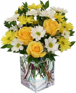 "Sunshine" Yellow roses with yellow and white daisies arranged in a rectangular vase  or another clear vase. !