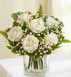 6 Beautiful Premium White Roses that resemble garden roses arranged in a cube vase with baby's breath.
