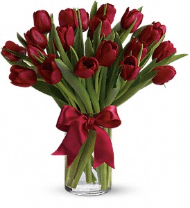adiantly Red Tulips Red