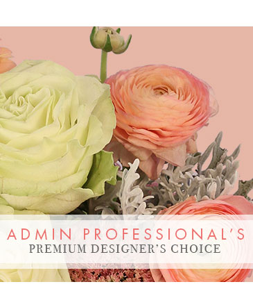 Admin Professional Florals Premium Designer's Choice in Norwich, CT | MCKENNA'S FLOWER SHOP