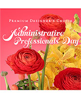 Admin Professionals' Day Floral Premium Designer's Choice