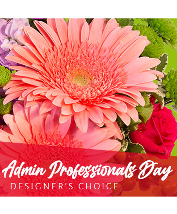 Admin Professional's Flowers Designer's Choice in Ridgefield, CT | Main Street Florist & Gift
