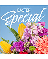 Easter Special Designer's Choice in Innisfail, Alberta | The Flower Boutique