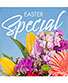 Easter Special Designer's Choice