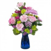 Admire Arrangement