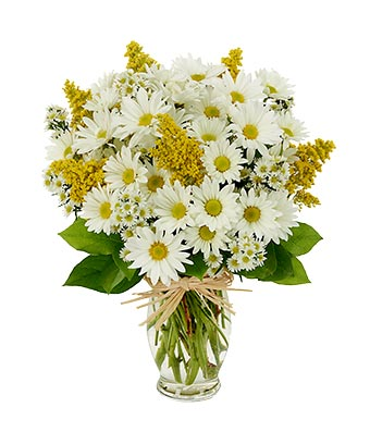 Admirer Mixed Flowers