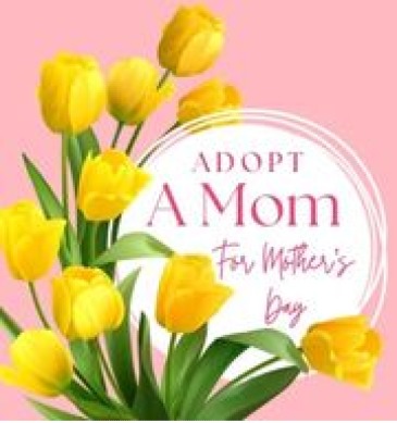 Adopt A Mom FOR MOTHER'S DAY in Amherst, MA | Floral Affairs Of Amherst Adopt A Mom FOR MOTHER'S DAY in Amherst, MA | Floral Affairs Of Amherst