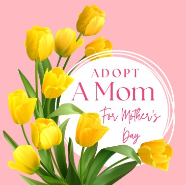 Adopt A Mom For Mother's Day in Greenfield, MA | FLORAL AFFAIRS