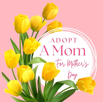 Adopt A Mom For Mother's Day