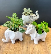 Adorable Animal Planter Green Houseplant