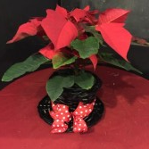 Adorable Poinsettia Hat