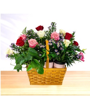 Adoration: Pink. White and Red  Plant Basket