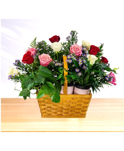 Adoration: Pink. White and Red Plant Basket