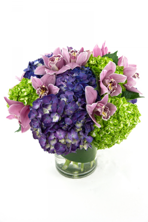 Adore Hydrangeas & Orchids All Around