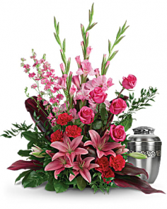 Category Image