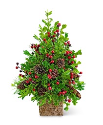 Adorned Boxwood Tree Plant