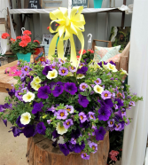 Afternoon Tea Hanging Basket