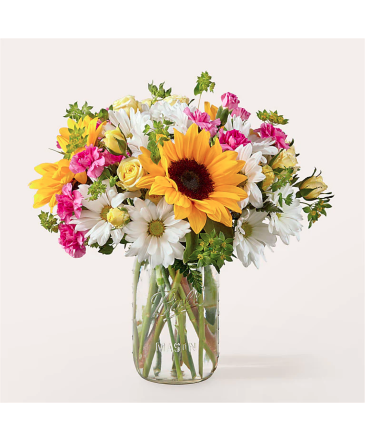 Aglow  Bouquet in Kissimmee, FL | Amor Florist & Gift Baskets