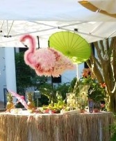 Aiken Musem Garden Show - Luau Theme  Event - Garden Club