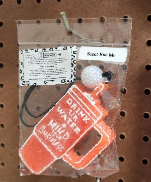Air Freshner - Freshie gift