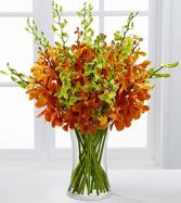 Day Break Luxury Orchid Bouquet Flower Arrangement