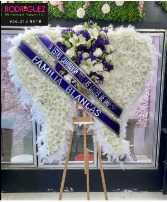 Alas de Angel / Angel Wings 