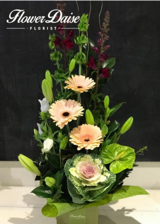 Alice Arrangement
