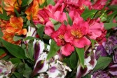 Alice's Pick; Best Blooms of the Day Vase Arrangement