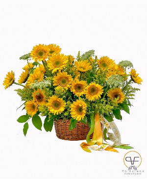 Alicia´s Sunflowers  
