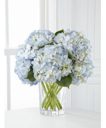 All About Blue Clear Cylinder in Weymouth, MA | Weymouth Flower Shop All About Blue Clear Cylinder in Weymouth, MA | Weymouth Flower Shop