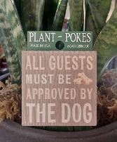 All Guests Must Be Approved By the Dog Plant Stake 