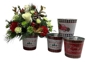All I want for Christmas