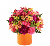 All is Bright - 159 Arrangement