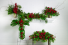 Purchase this funeral home arrangement
