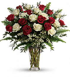 Category Image